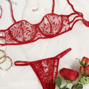 Holicxxx Lingerie-Popular embroidered bowl two-piece set